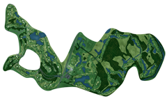 View Course Tour