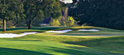 Marshwood #6