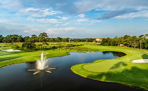 Senior PGA Tour 2025 - Scenic Golf Landscape